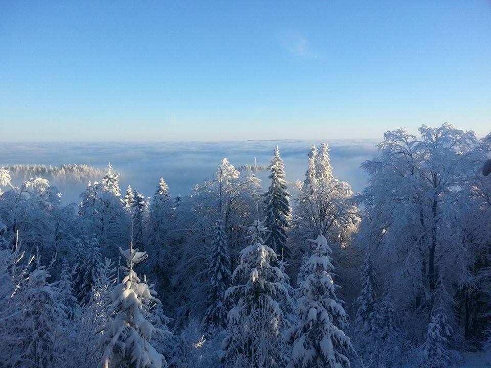 Chalet Baluma Maluba Jahorina Dış mekan fotoğraf